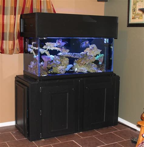 diy fish tank|DIY Glass Aquarium Plans & Step.